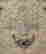 item-119236462=2