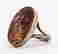 item-119656575=4