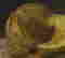 item-120212373=3
