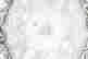item-121086460=4