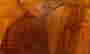 item-125560311=11