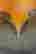 item-126874011=4
