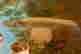item-126874083=4