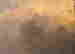 item-127741366=4