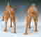 item-9003503=3