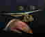 item-128709645=3