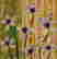 item-128709790=2