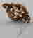 item-128710025=3