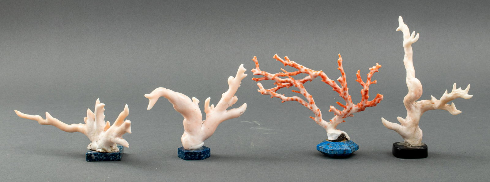 Coral Specimens on Lapis Bases, 4 (1 of 10)