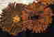 item-129302694=3