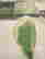 item-129551634=4