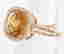 item-129551647=2