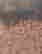 item-129551658=5
