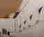 item-129551674=9