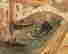 item-129551695=13