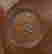 item-129551769=12