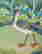 item-129551789=6