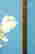 item-129551789=9