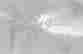 item-129551892=10