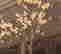 item-129684692=9