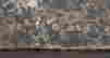 item-129685017=6