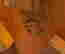 item-129685195=5