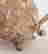 item-129685348=11