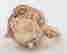 item-129685348=7