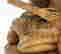item-129685380=7