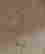 item-129685468=5