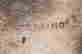 item-131040130=8
