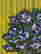 item-131040144=4