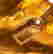 item-131040182=6