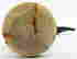 item-131040277=11