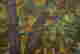 item-131040281=8