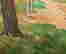 item-131040281=9