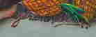 item-131040334=7