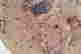 item-131040341=12