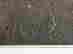 item-131040342=11