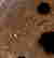 item-131040372=13
