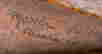 item-131040373=11