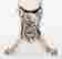 item-131040414=8