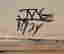 item-131040437=10
