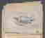 item-131040437=9
