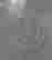 item-131040465=6