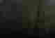 item-131901737=7