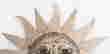 item-132684685=2