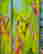 item-133477541=6