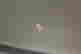 item-134180611=4
