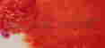 item-134680745=3